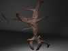 Carrot Tree - 03