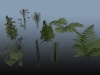 02_Foliage Assets