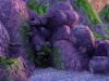 highres_screenshot_00001