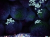 highres_screenshot_00005