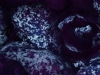 highres_screenshot_00010