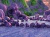 highres_screenshot_00016