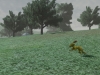 highres_screenshot_00022